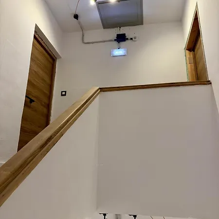 The Orange Teddy Bear * 希洪